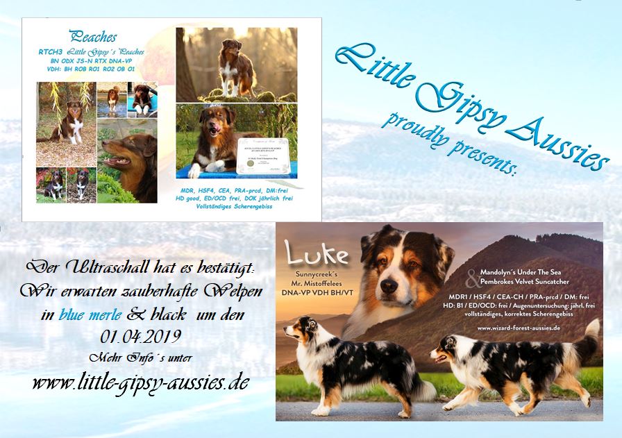 …und dann wird Peaches 4 Wochen früher als erwartet läufig…